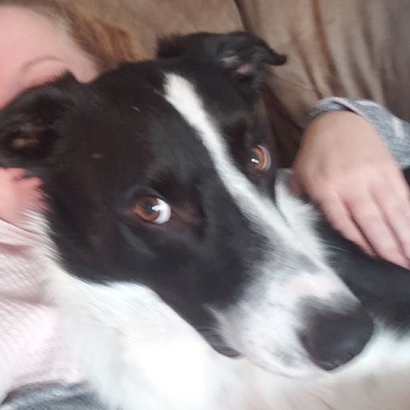 Meet your Posher, Amy - Picture 1 of 1